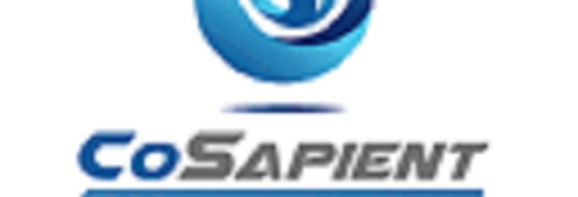 CoSapient Inc.