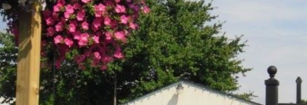 Reliable Garden